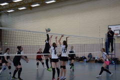 VSVDa2-2019-03-09_054