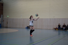 VSVDa2-2019-03-09_078