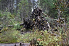 Kanada_2019_252