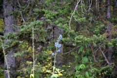 Kanada_2019_262