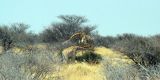 Namibia-2025_0211