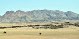 Namibia-2025_0814