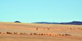 Namibia-2025_0856