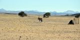 Namibia-2025_0889
