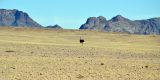 Namibia-2025_0892