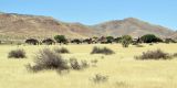 Namibia-2025_1051