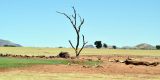 Namibia-2025_1057