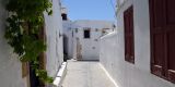 Rhodes-2026_033