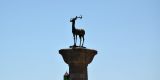 Rhodes-2026_049