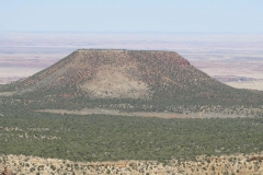 USA_2013_203