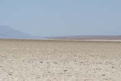 USA_2013_342