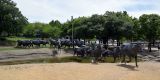 USA-2024_Dallas_0146