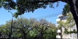 USA-2024_NewOrleans_0191