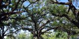 USA-2024_NewOrleans_0317