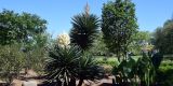 USA-2024_NewOrleans_0320
