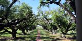 USA-2024_NewOrleans_0326