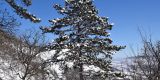 Winter_2020-21_Part2_034_ergebnis