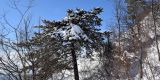 Winter_2020-21_Part2_036_ergebnis