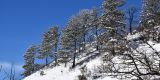 Winter_2020-21_Part2_038_ergebnis