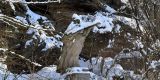 Winter_2020-21_Part2_055_ergebnis